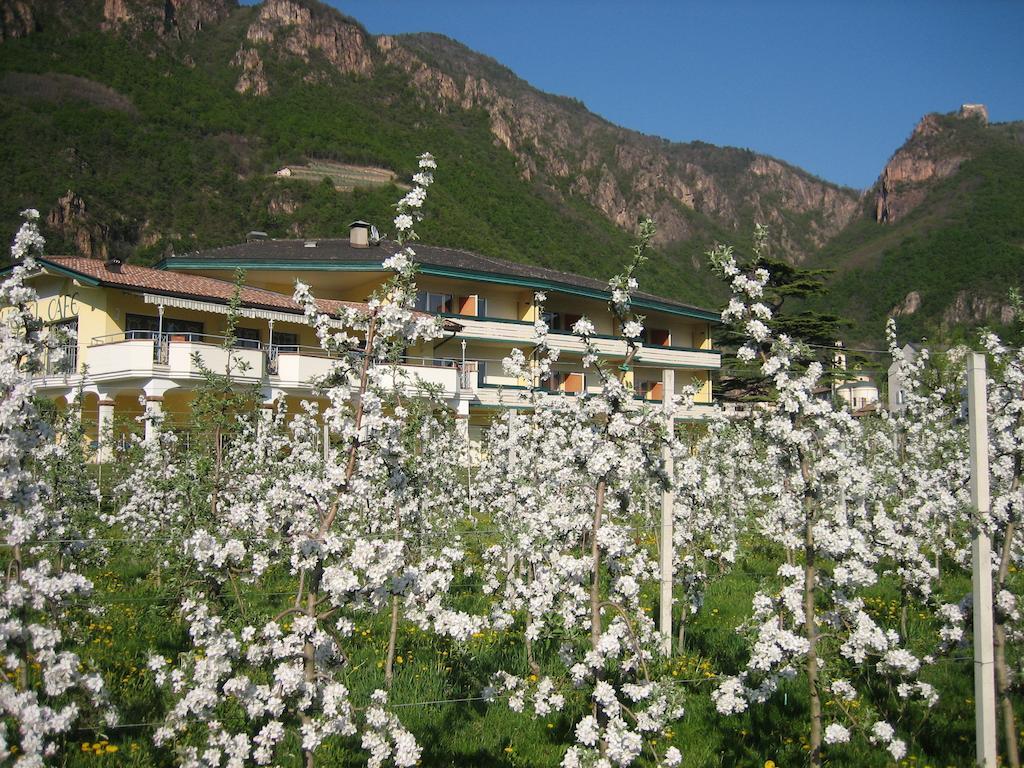 Hotel Greifenstein Terlan Zewnętrze zdjęcie